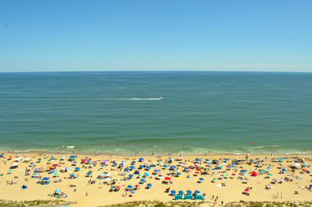 Beach Day