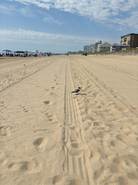 Four Tracks