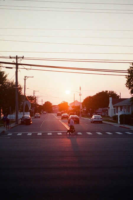 Sunset Lines