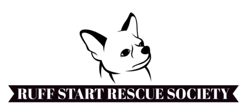 https://www.ruffstartrescuesociety.com/about-us