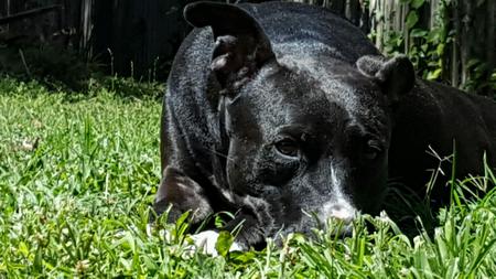 Deuce 