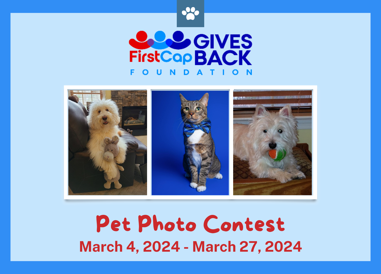 Banner for 2024 FirstCap Gives Back Pet Photo Contest