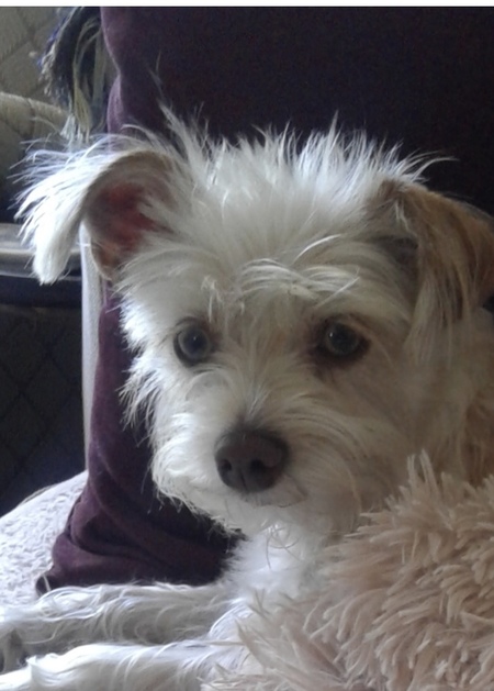 Bella