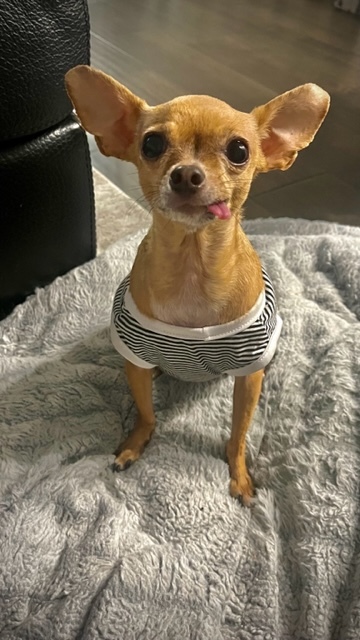 Kika