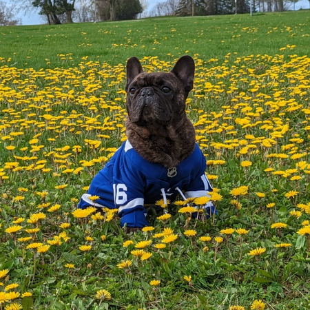 Wendel