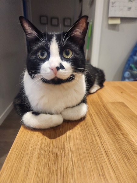 Max