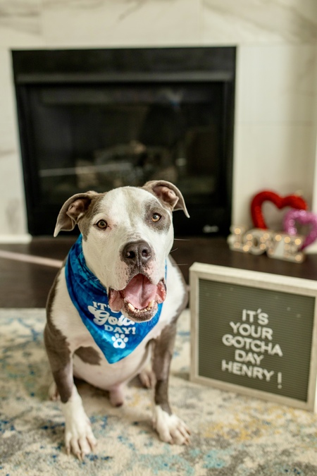Henry
