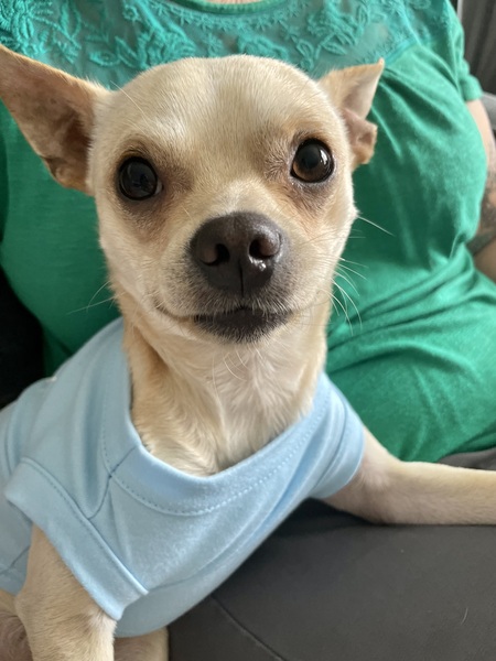 Peanut