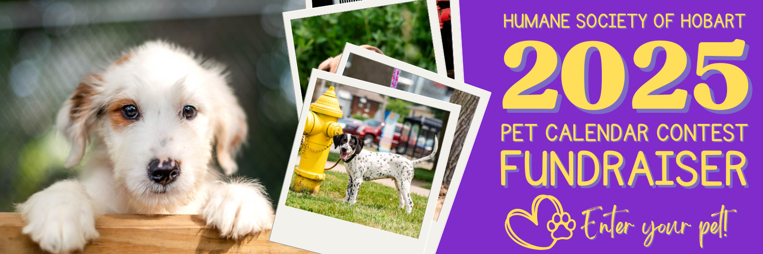 Humane Society Calendar 2025
