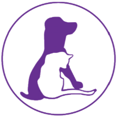 Logo for 2025 HSH Calendar Contest