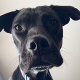 Entry image for Margot