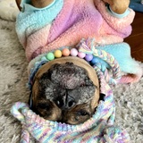 Entry image for Madeline