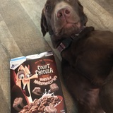 Entry image for Count Chocula