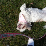 Entry image for Libby
