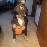 Entry image for Sadie