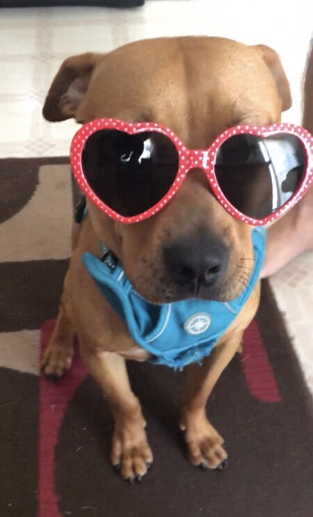 Entry image for Mabel. Clicking this image will show a larger photo