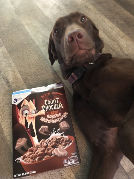 Entry image for Count Chocula. Clicking this image will show a larger photo