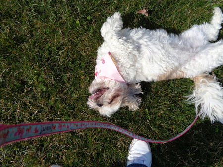Entry image for Libby. Clicking this image will show a larger photo