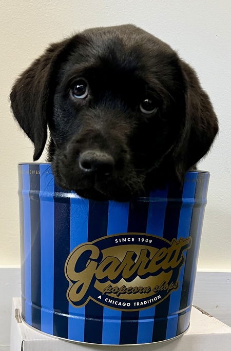 Entry image for Garrett. Clicking this image will show a larger photo