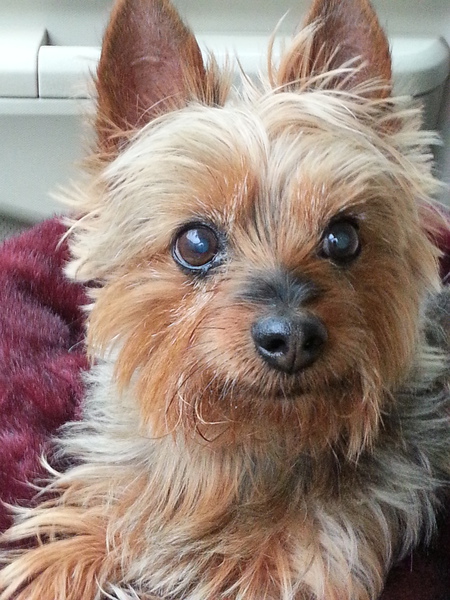 Samy