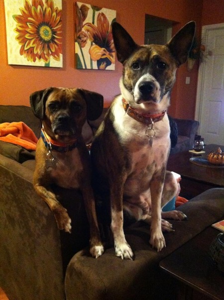 Oscar & Macy