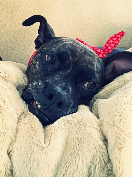 Frieda
