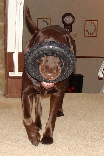 coda