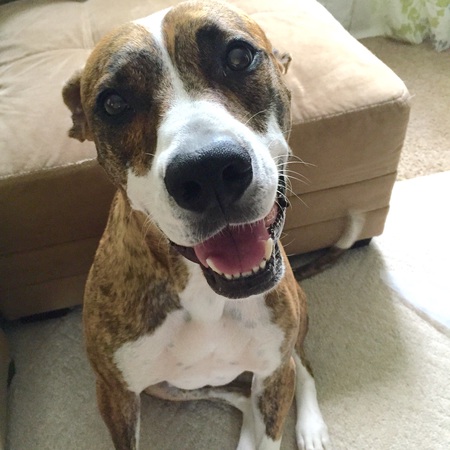 Bronson