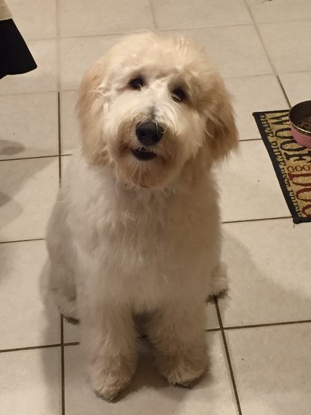 Charley