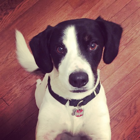 Charlie 