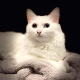 Entry image for Marie