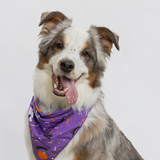 Entry image for Ford