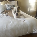 Entry image for Floyd 