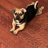 Entry image for Kirby 