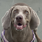 Entry image for Bits n Pieces