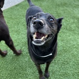 Entry image for Bryson