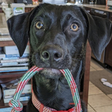 Entry image for Trouvy