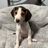 Entry image for Karma