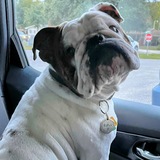 Entry image for Rufus 