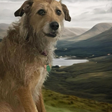 Entry image for Mona 