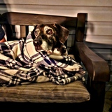 Entry image for LITTLE BOY