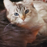 Entry image for Gracie Jane