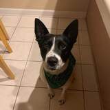 Entry image for Poopah