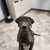 Entry image for Akasha