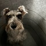 Entry image for Coco