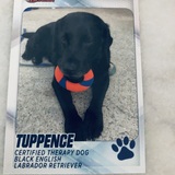 Entry image for Tuppence