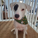 Entry image for Lucy