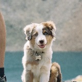 Entry image for Finnegan