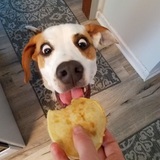 Entry image for Solomon