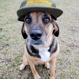 Entry image for Charlie